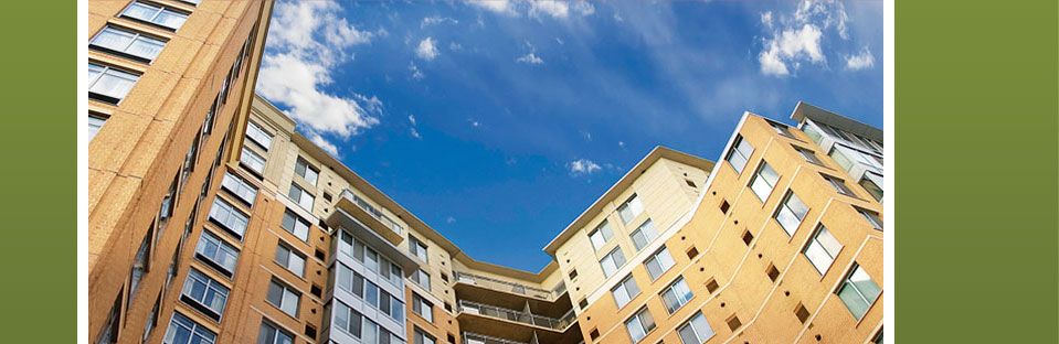 Meng Law Firm Attorney at Law