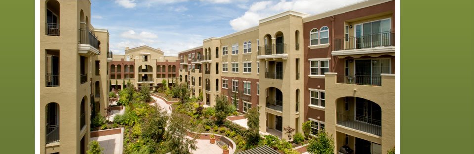 Meng Law Firm Attorney at Law